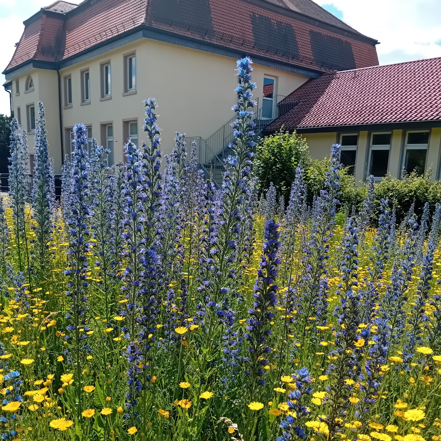 Grundschule Hessisches Kegelspiel